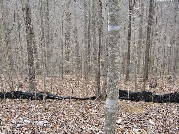 5 Acres of Residential Land for Sale in Wilder, Tennessee