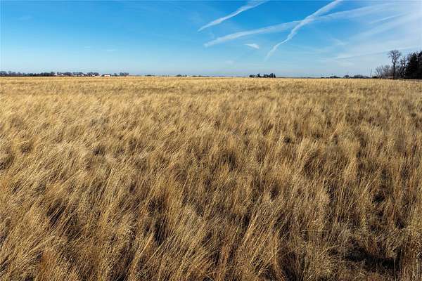78.4 Acres of Land for Sale in Rockwell City, Iowa