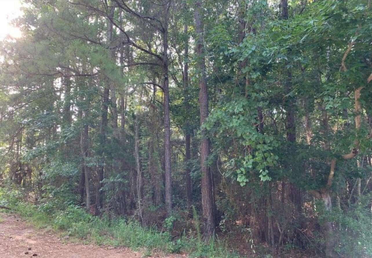 0.25 Acres of Residential Land for Sale in Gautier, Mississippi