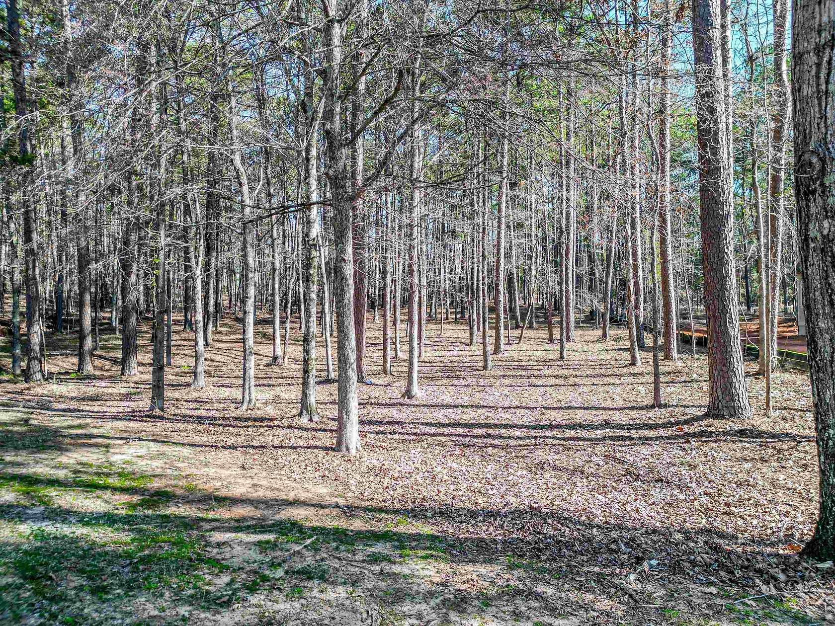 0.74 Acres of Residential Land for Sale in Greensboro, Georgia