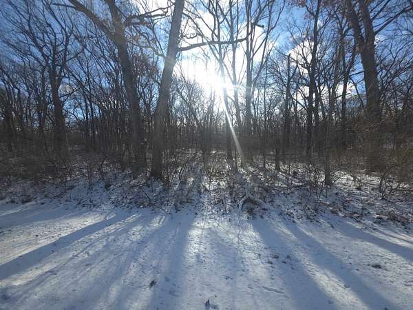 0.31 Acres of Land for Sale in Dixon, Illinois