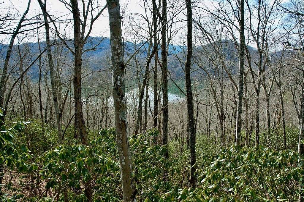 0.85 Acres of Land for Sale in Nantahala, North Carolina