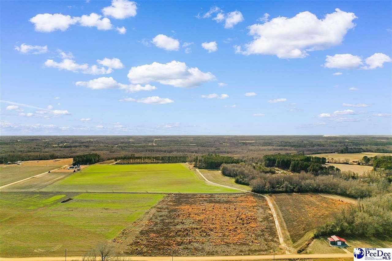 7.3 Acres of Land for Sale in Dillon, South Carolina