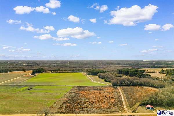 7.3 Acres of Land for Sale in Dillon, South Carolina