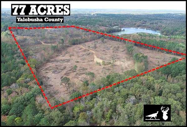 77.6 Acres of Recreational Land for Sale in Tillatoba, Mississippi