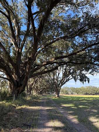 10 Acres of Recreational Land for Sale in Chiefland, Florida