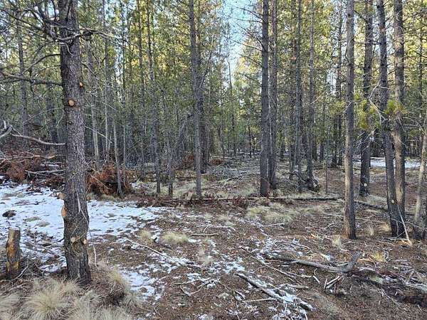 0.57 Acres of Residential Land for Sale in Bend, Oregon