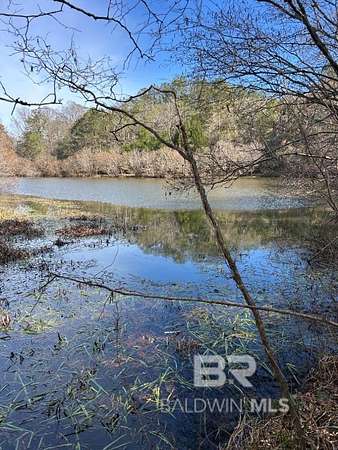 Land for Sale in Evergreen, Alabama