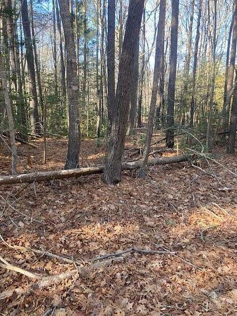 3 Acres of Land for Sale in Heathsville, Virginia