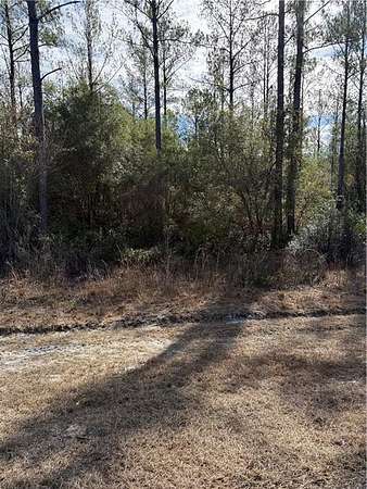 1.16 Acres of Residential Land for Sale in Hortense, Georgia