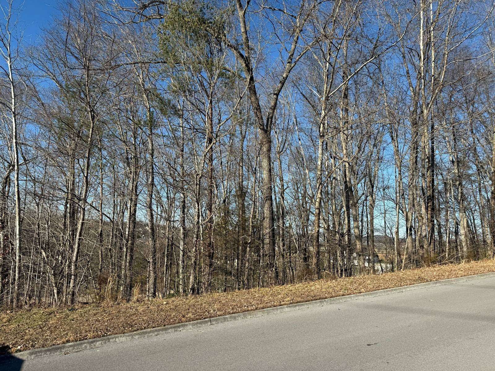 0.78 Acres of Residential Land for Sale in Sevierville, Tennessee