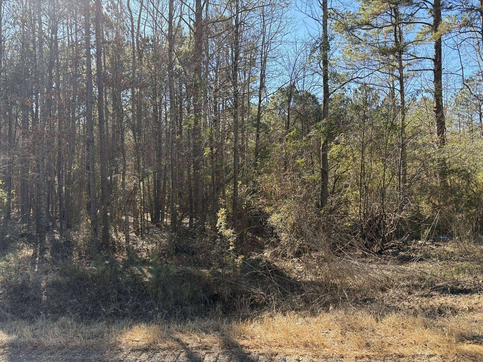76 Acres of Land for Sale in Taylor, Arkansas