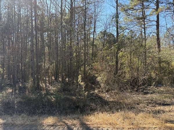 76 Acres of Land for Sale in Taylor, Arkansas