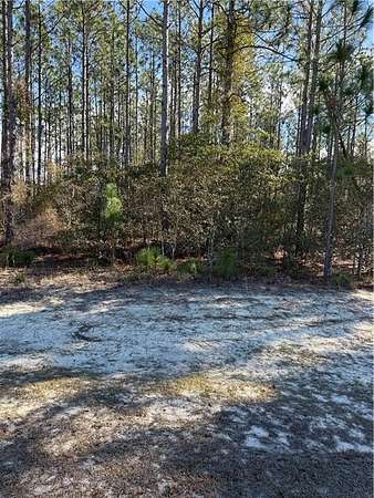 1.1 Acres of Residential Land for Sale in Hortense, Georgia