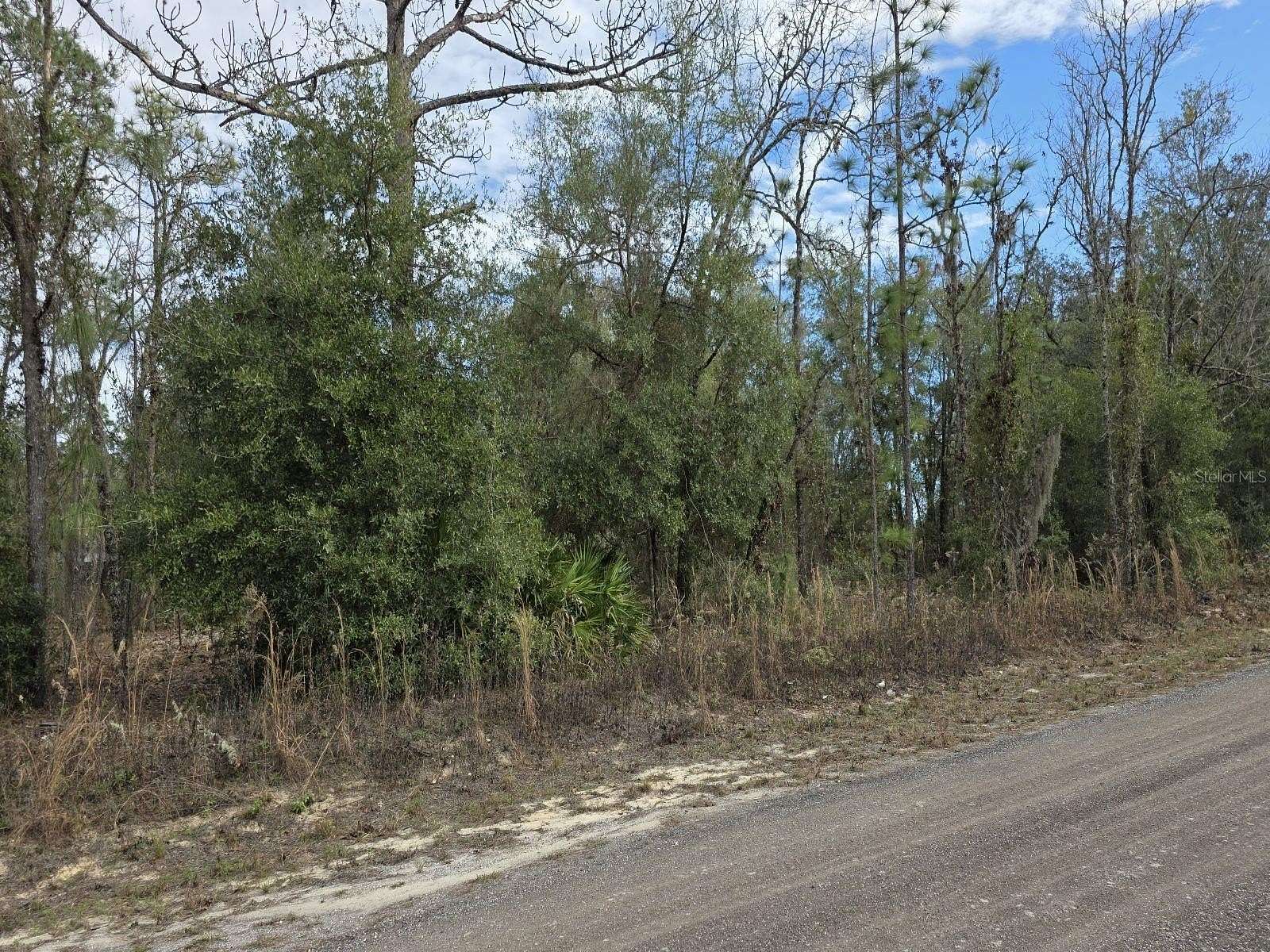 0.23 Acres of Residential Land for Sale in Ocala, Florida