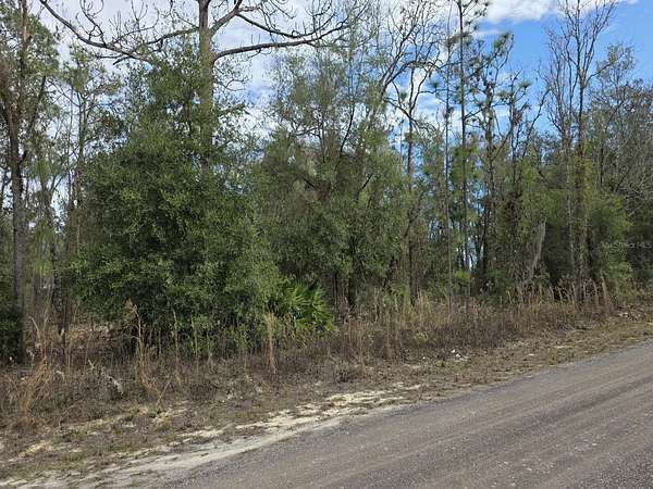 0.23 Acres of Residential Land for Sale in Ocala, Florida