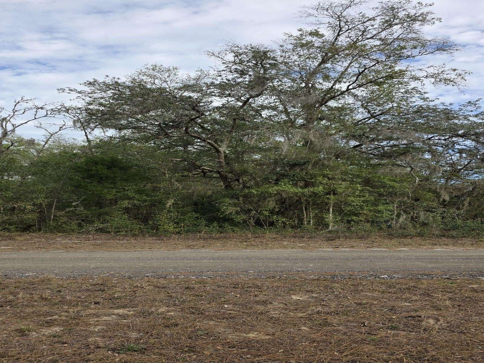 0.23 Acres of Residential Land for Sale in Ocala, Florida