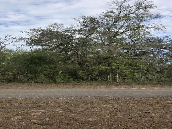 0.23 Acres of Residential Land for Sale in Ocala, Florida