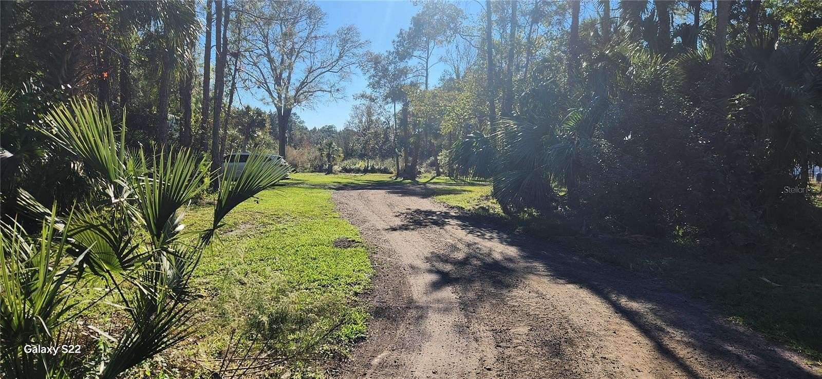 5 Acres of Agricultural Land for Sale in Bunnell, Florida