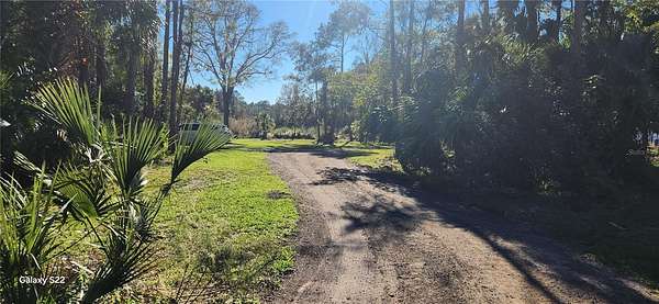 5 Acres of Agricultural Land for Sale in Bunnell, Florida