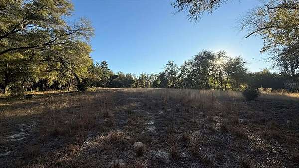 3.55 Acres of Residential Land for Sale in Williston, Florida
