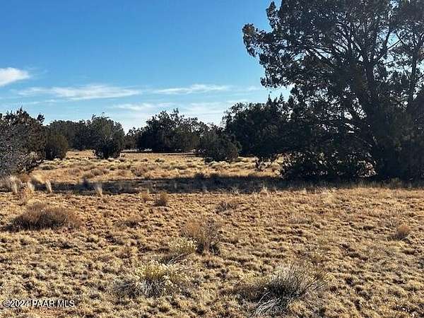 10 Acres of Land for Sale in Seligman, Arizona