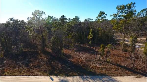 1.25 Acres of Residential Land for Sale in Morriston, Florida
