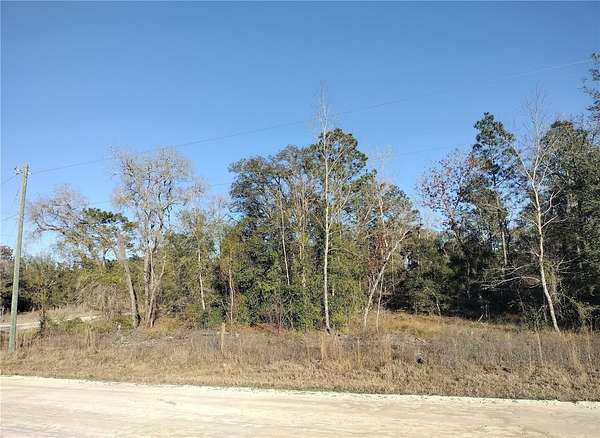 1.25 Acres of Residential Land for Sale in Morriston, Florida