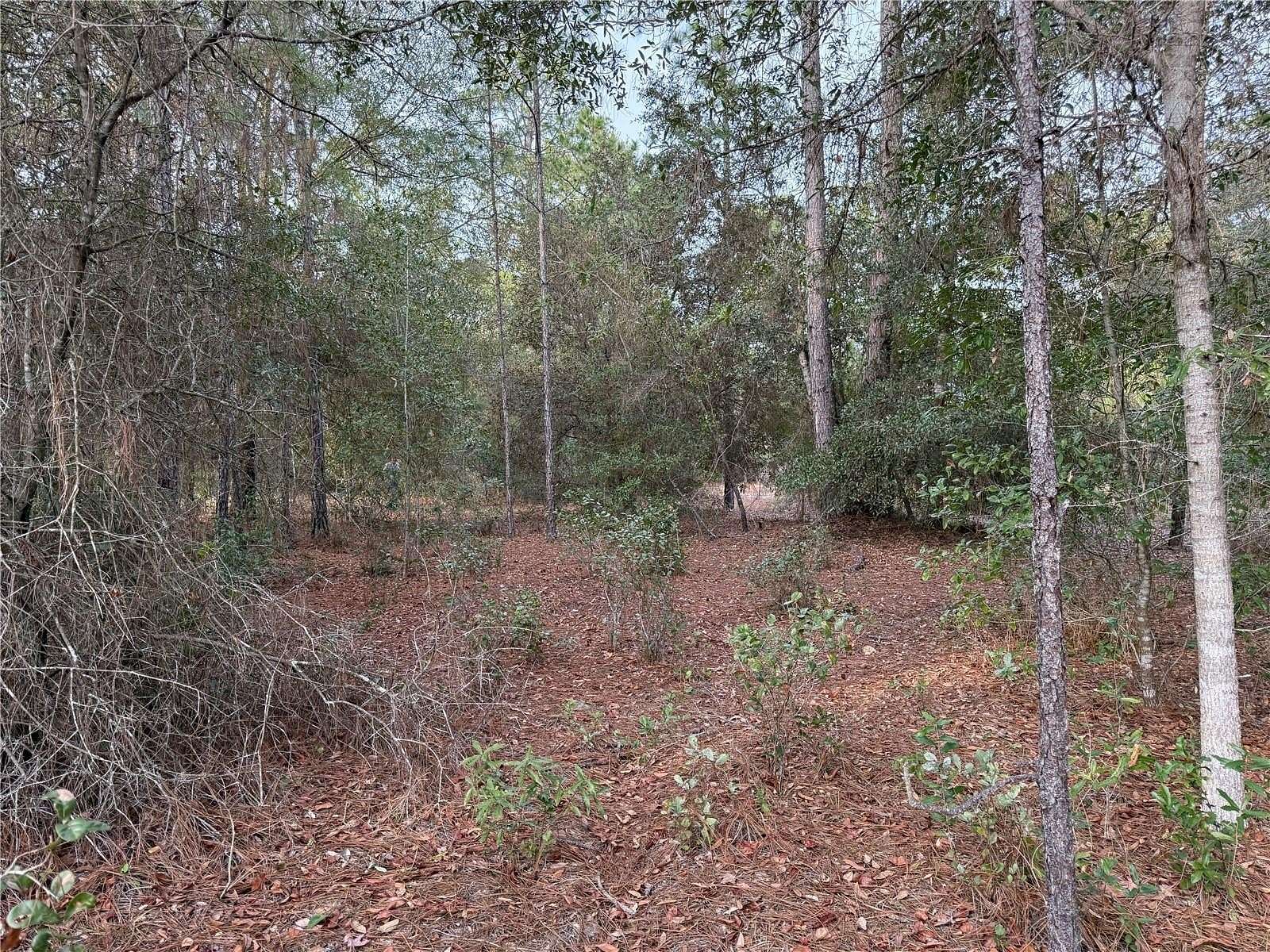 0.99 Acres of Residential Land for Sale in Dunnellon, Florida