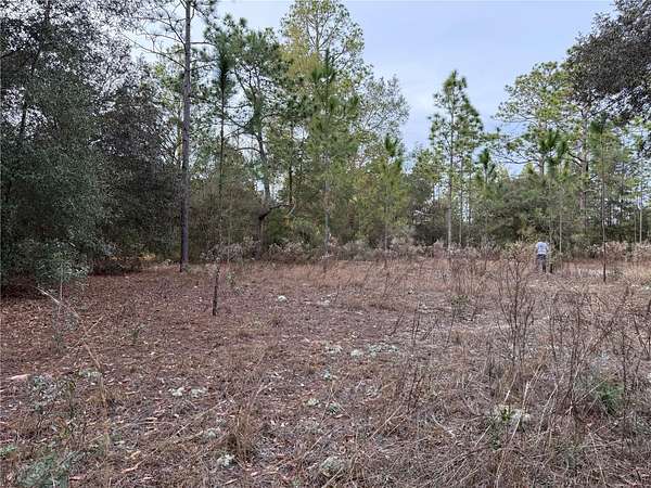 0.99 Acres of Residential Land for Sale in Dunnellon, Florida