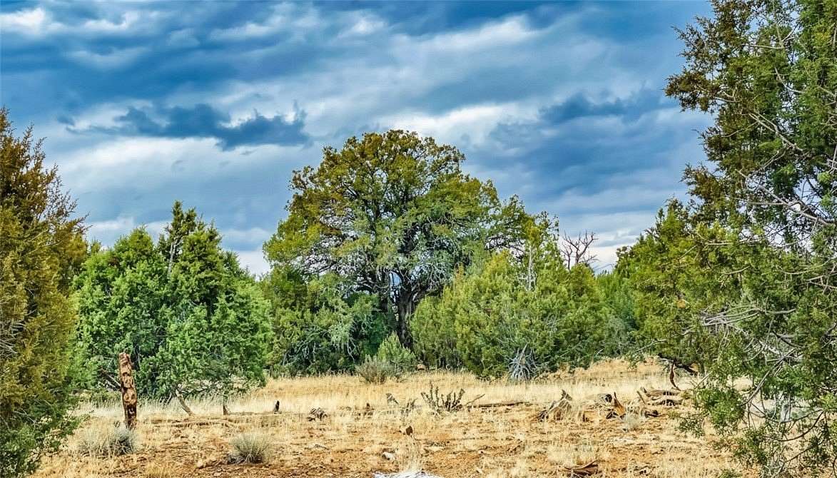 322 Acres of Recreational Land for Sale in Seligman, Arizona