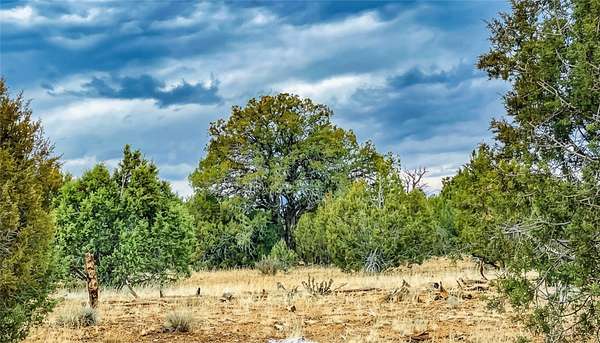 322 Acres of Recreational Land for Sale in Seligman, Arizona
