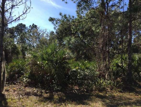 0.23 Acres of Residential Land for Sale in Port Charlotte, Florida