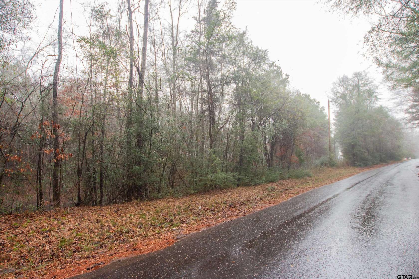 19.6 Acres of Recreational Land for Sale in Carthage, Texas