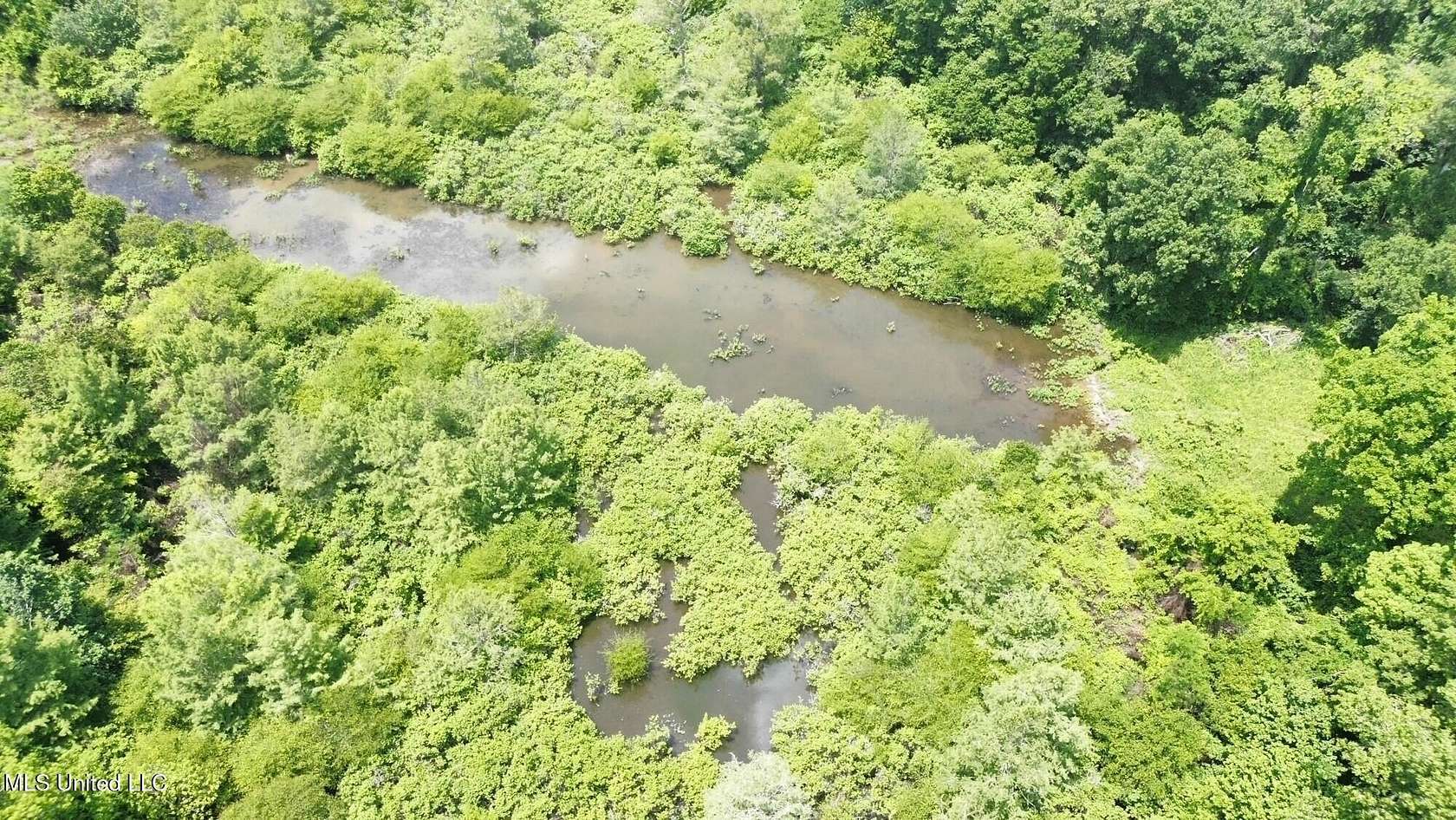 40 Acres of Recreational Land for Sale in Shaw, Mississippi