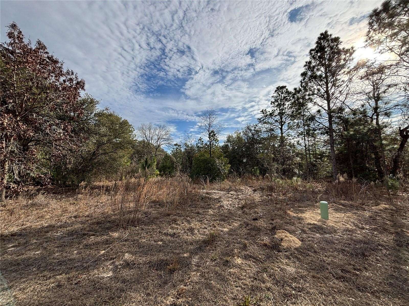 0.23 Acres of Residential Land for Sale in Citrus Springs, Florida