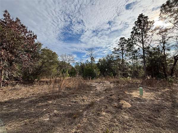 0.23 Acres of Residential Land for Sale in Citrus Springs, Florida