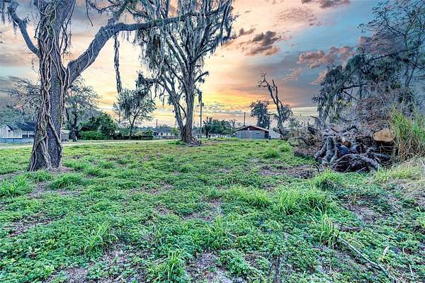 0.17 Acres of Residential Land for Sale in Thonotosassa, Florida