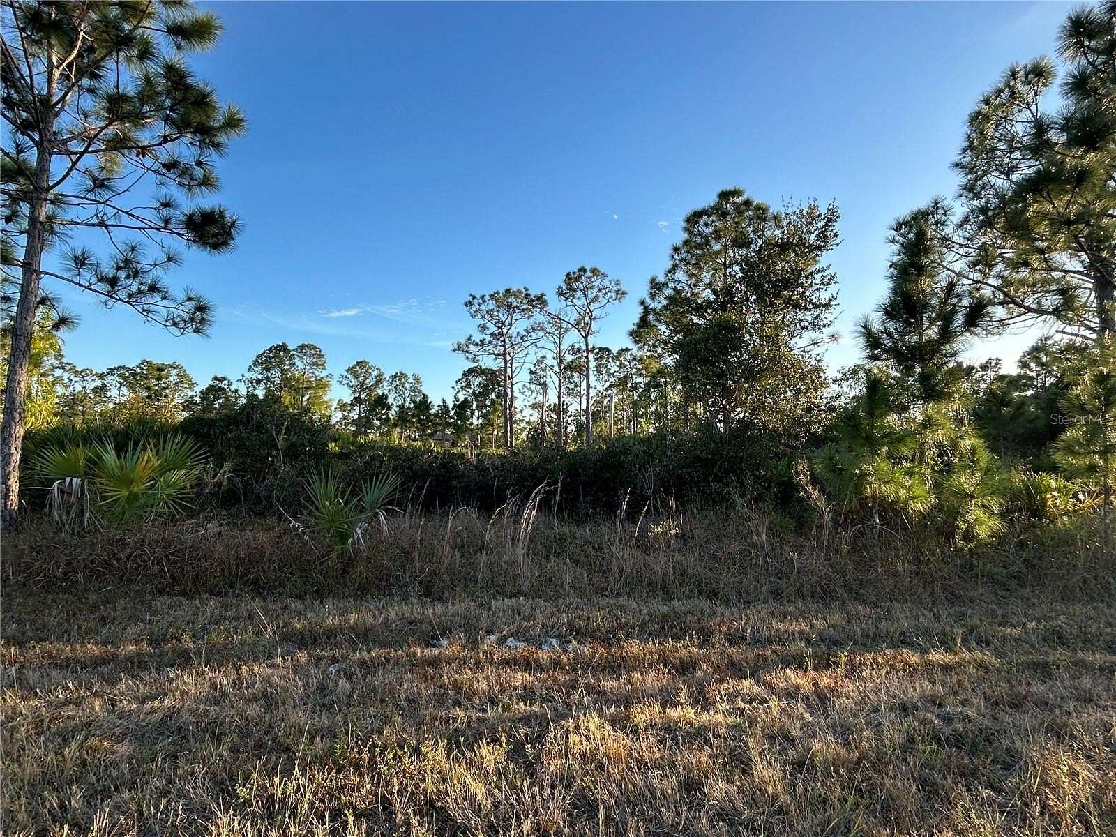 0.24 Acres of Residential Land for Sale in Port Charlotte, Florida