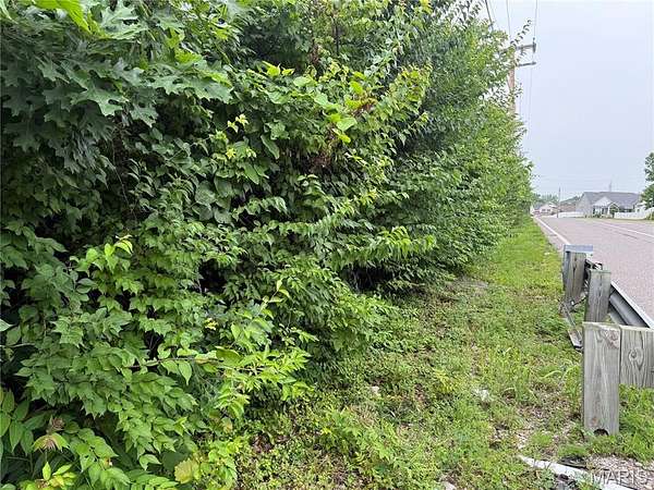 0.52 Acres of Residential Land for Sale in St. Louis, Missouri