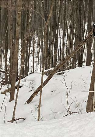 3 Acres of Residential Land for Sale in Boyne City, Michigan