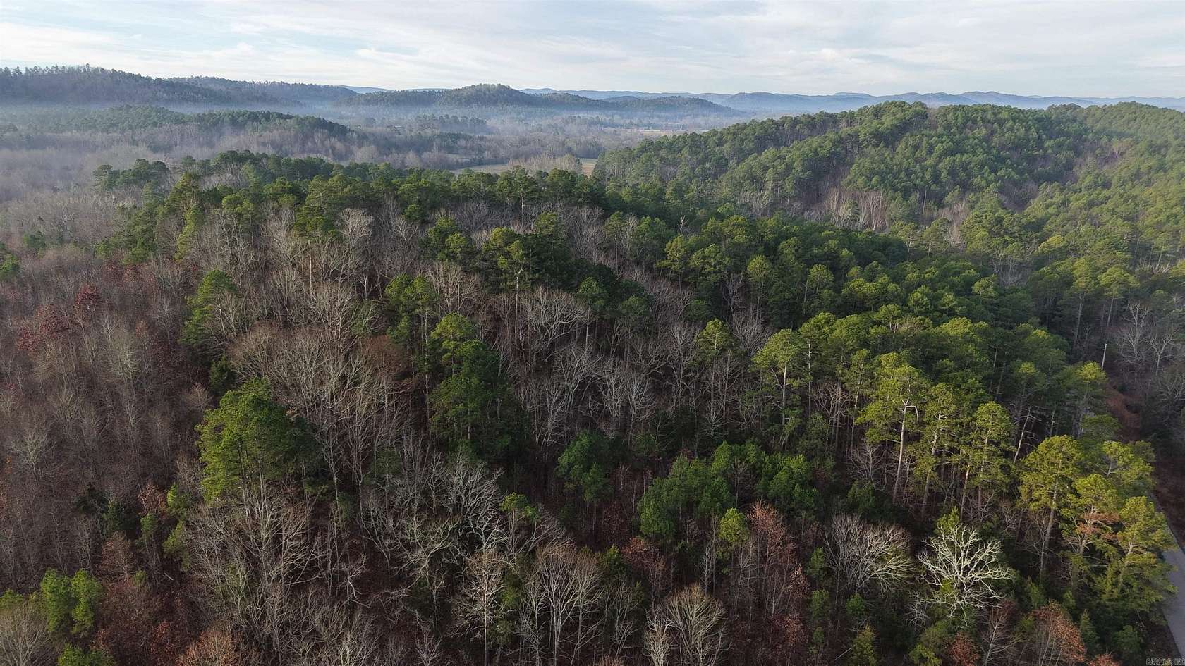 9.86 Acres of Land for Sale in Oden, Arkansas