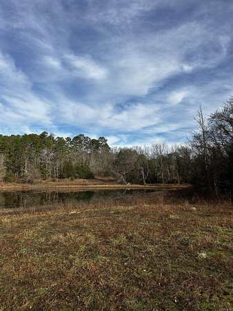13 Acres of Land for Sale in Oden, Arkansas