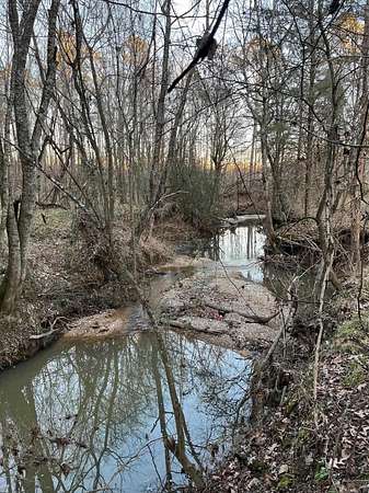 16.6 Acres of Recreational & Residential Land for Sale in Delight, Arkansas