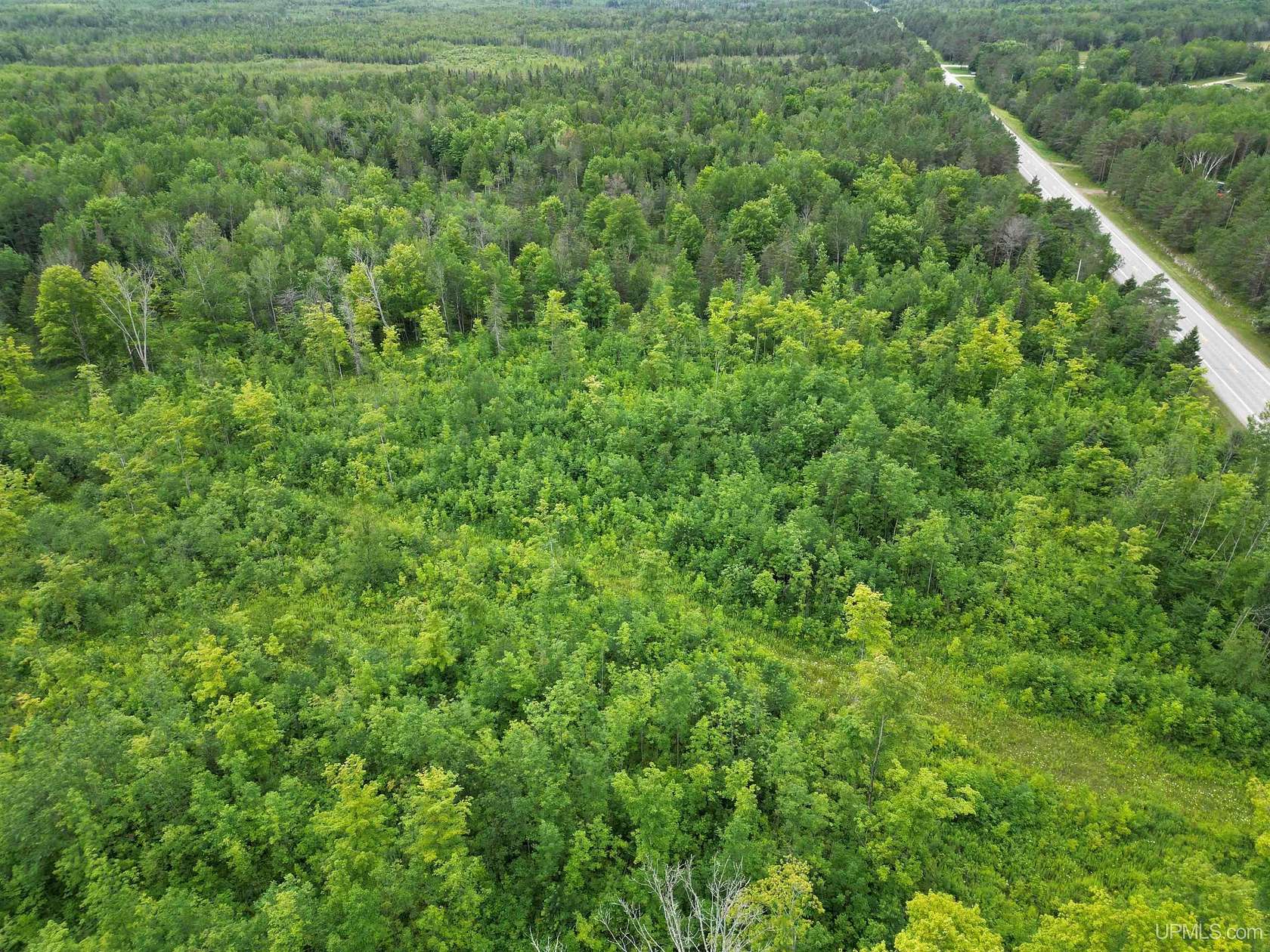 10.9 Acres of Land for Sale in Gulliver, Michigan