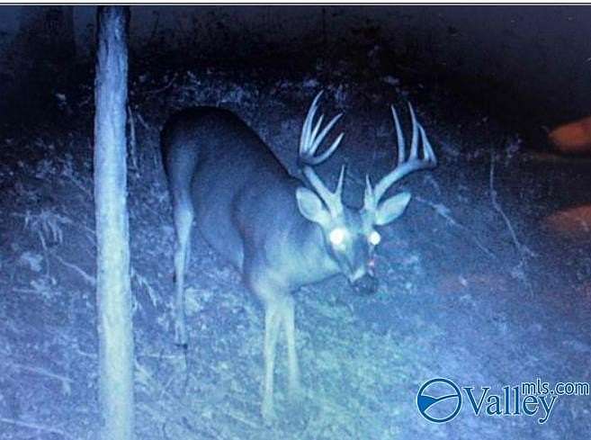 0.79 Acres of Land for Sale in Springville, Alabama