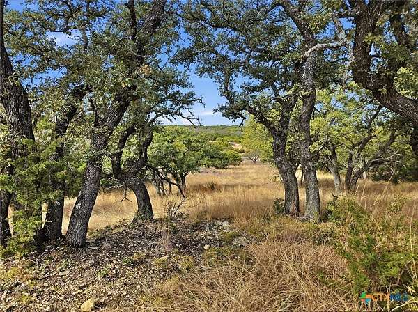 103 Acres of Land for Sale in Evant, Texas