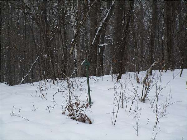 3.3 Acres of Land for Sale in Weyerhaeuser, Wisconsin