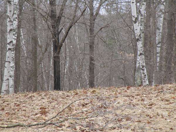 3.3 Acres of Land for Sale in Weyerhaeuser, Wisconsin