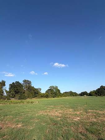 10 Acres of Recreational Land for Sale in Edgewood, Texas